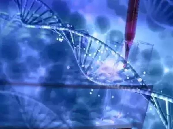 溫州并沒有三代試管嬰兒醫院！浙江僅兩家別錯過(圖1)