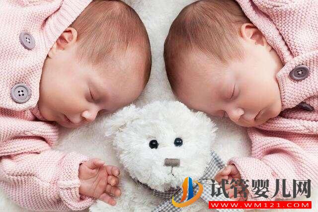 具備哪些知識可以有助于生雙胞胎(圖1)