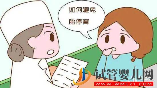 胎停后多久可以備孕？要注意什么？(圖1)