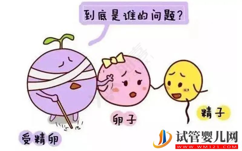 試管嬰兒卵子質量真的沒有辦法提升嗎？(圖1)