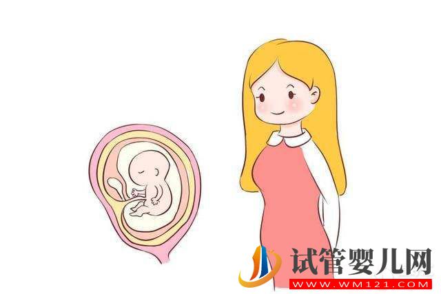 如何預防胚胎停育? 如何預防胚胎停育?教你幾招!(圖2)