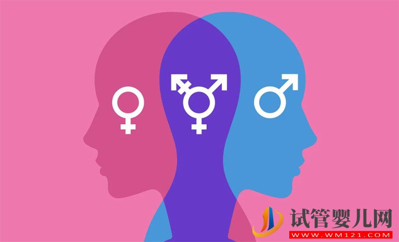 拉拉a卵b懷費(fèi)用大概多少(圖1)