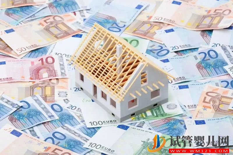 拉拉a卵b懷費(fèi)用大概多少(圖3)