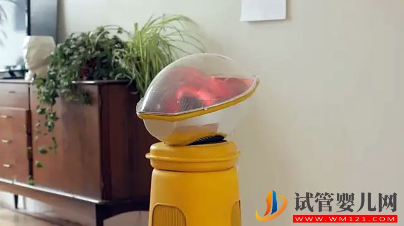 中國人造子宮生孩子需要多少錢?(圖3)