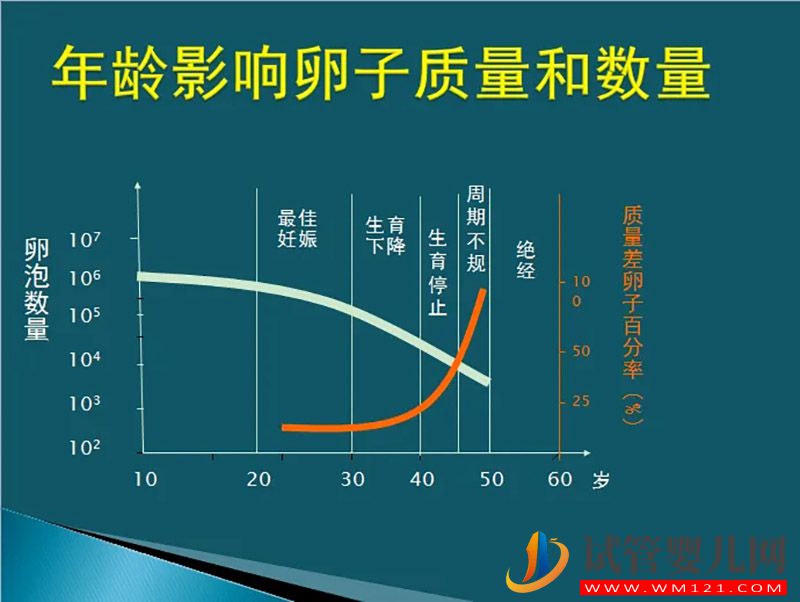 10個人做試管幾個能成功?試管成功率是相對的不是絕對的!(圖2)