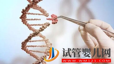 如何看待國內很多人通過第三代試管嬰兒技術生兒子(圖2)