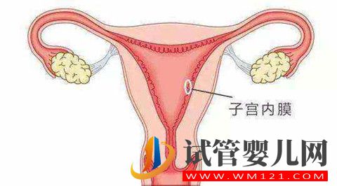 影響試管嬰兒成功率因素之的子宮內(nèi)膜容受性因素解析(圖1)