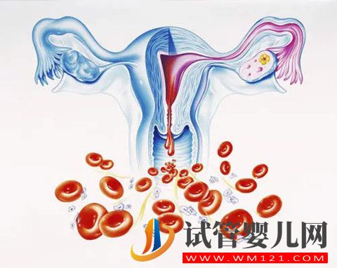 影響試管嬰兒成功率因素之的子宮內(nèi)膜容受性因素解析(圖3)