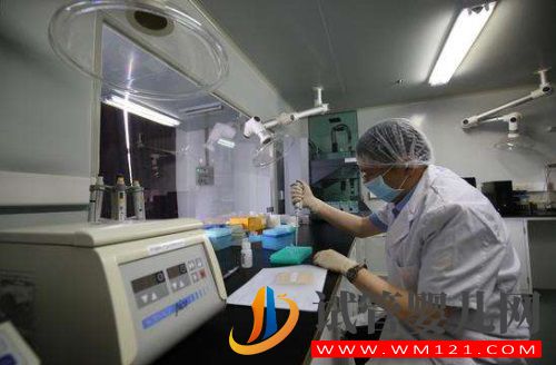 試管嬰兒過程中試管移植時間是什么時候(圖1)
