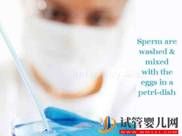 導(dǎo)致卵泡發(fā)育不良的3大原因，危害會(huì)致其不孕或死胎(圖3)
