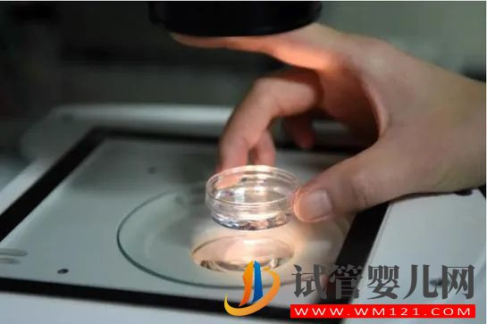 “試管嬰兒”費用納入醫(yī)保,能緩解生育率走低嗎(圖1)