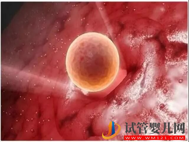 臨床上想生雙胞胎促排卵的方法有哪些？(圖2)