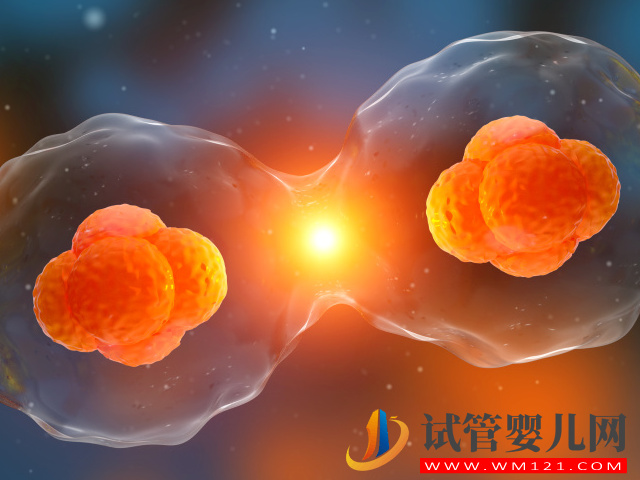 試管嬰兒中的“單卵雙胎”可不是好事，早產(chǎn)、畸形風(fēng)險高(圖2)