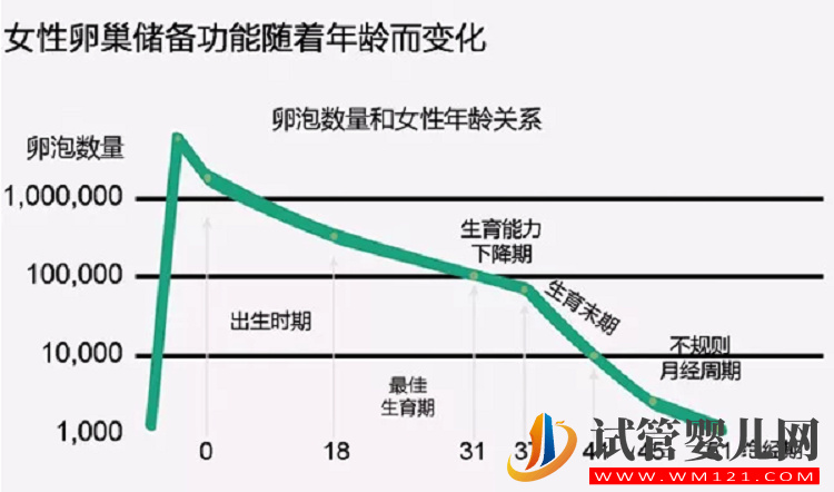 日常生活中如何調理因為高齡而導致的卵巢功能衰退(圖1)