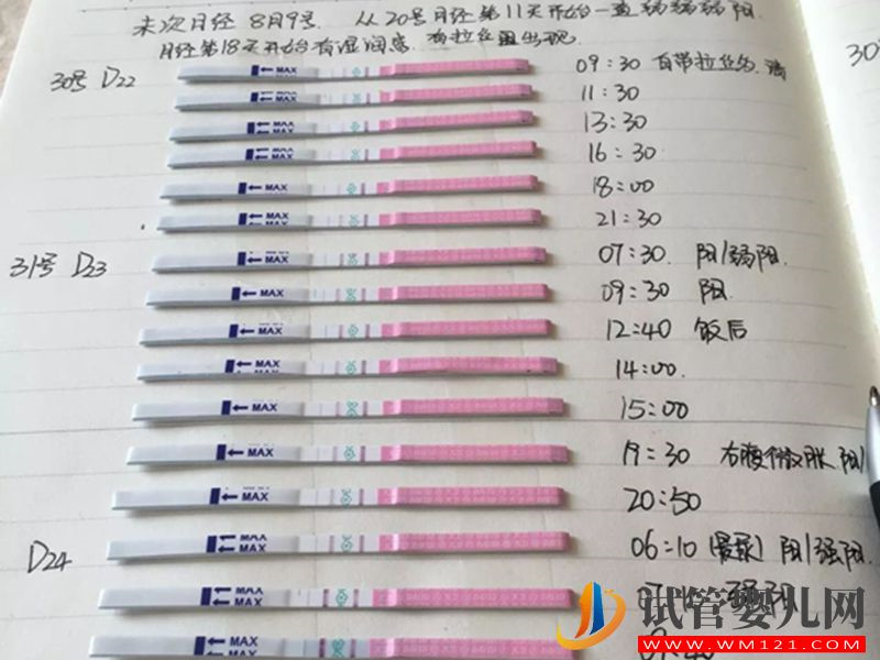 經驗分享：難孕，做試管胚胎等級一般但順利懷孕(圖2)