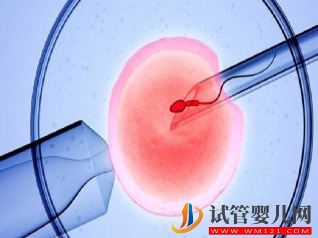 中國允許兩個同性生自己的孩子嗎？(圖2)
