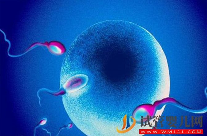 離心精子洗滌技術能去除精液中的艾滋病毒嗎？(圖2)