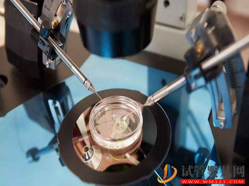 美國凍卵醫院費用要備足，提前了解三大流程更容易成功(圖1)