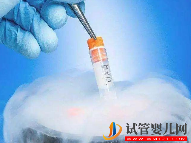 俄羅斯與日本凍卵分別需要多少錢？(圖1)