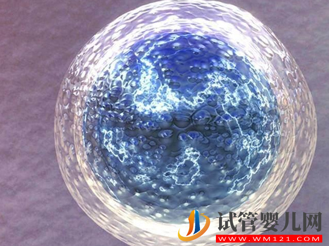 國內(nèi)禁止單身女性冷凍卵子的原因分享，并不一定是件好事(圖2)
