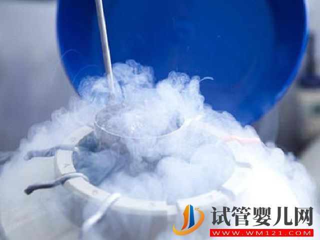 國外有哪些冷凍卵子的正規(guī)機構(gòu)？(圖2)