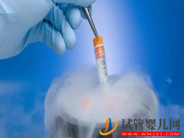 去泰國冷凍卵子一年大概需要多少錢？(圖1)