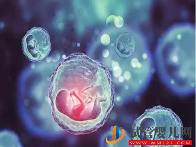 國內(nèi)凍卵解凍復(fù)蘇的成活幾率大概是多少？(圖1)