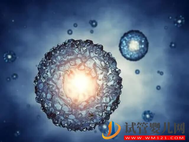 在國內(nèi)冷凍卵子一年的費(fèi)用大概是多少？(圖1)