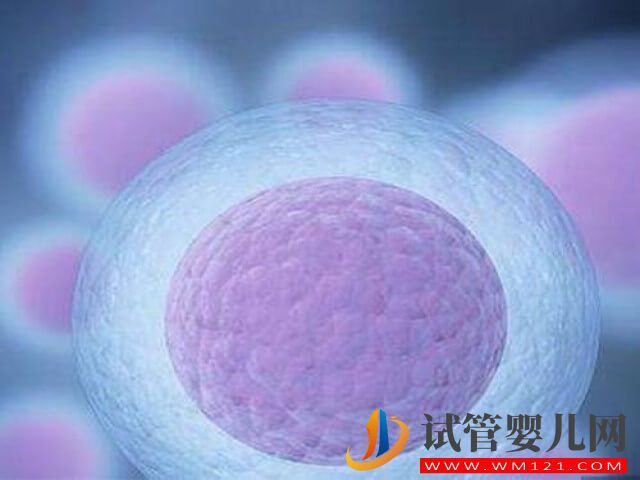 在國內(nèi)冷凍卵子一年的費(fèi)用大概是多少？(圖2)
