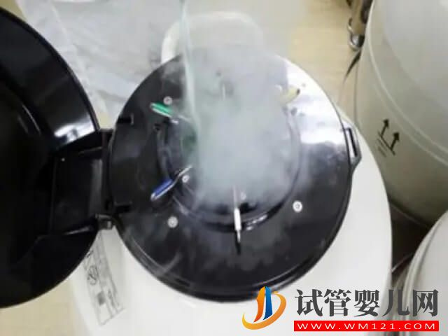 中國哪里能提供未婚凍卵技術？(圖1)