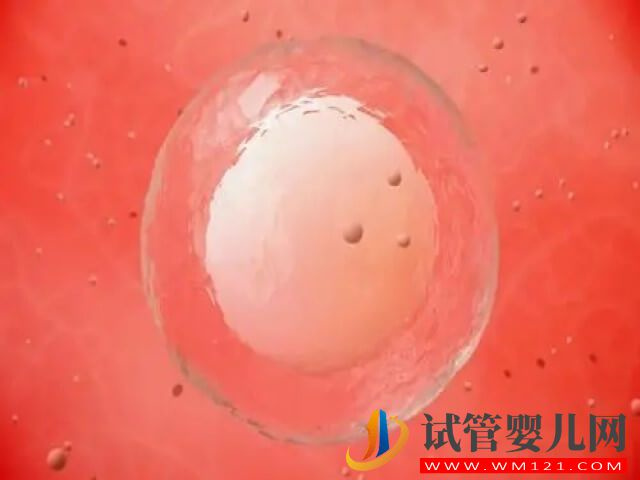 去正規(guī)醫(yī)院卵子庫購買一顆卵子需要多少錢？(圖1)