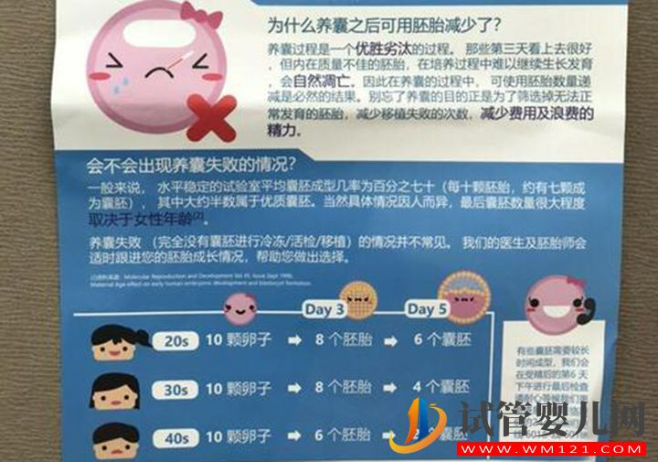 囊胚質量認定很簡單，通過基礎卵泡數量就可判斷(圖1)