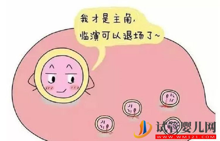 促排藥吃完就想排卵？醫(yī)生說要先看卵泡發(fā)育的情況(圖1)
