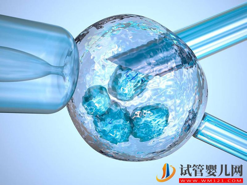 適合短效長方案的人做試管的成功率會更高嗎？(圖1)