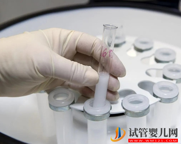 基礎(chǔ)卵泡較少做試管短方案取卵最好取幾個(gè)？(圖1)
