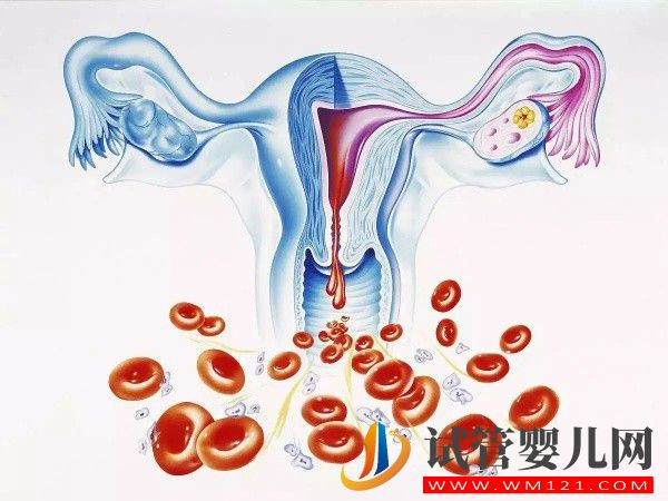 單側(cè)巧囊大于7cm做手術(shù)還能不能保住卵巢？(圖1)