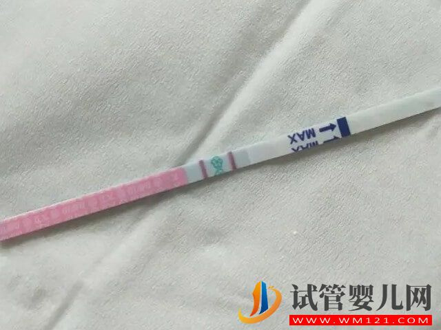為什么移植鮮胚7天用驗孕棒檢測的顏色就很紅了？(圖1)