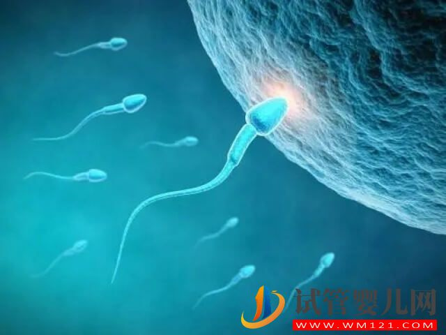 云浮：為什么做了七八次試管移植都不成功？(圖1)