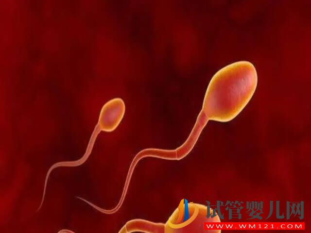 精液離心檢查結果為偶見活動精子能做試管嗎？(圖1)