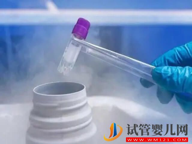 試管剩余的冷凍胚胎可以從醫(yī)院取出來嗎？(圖1)