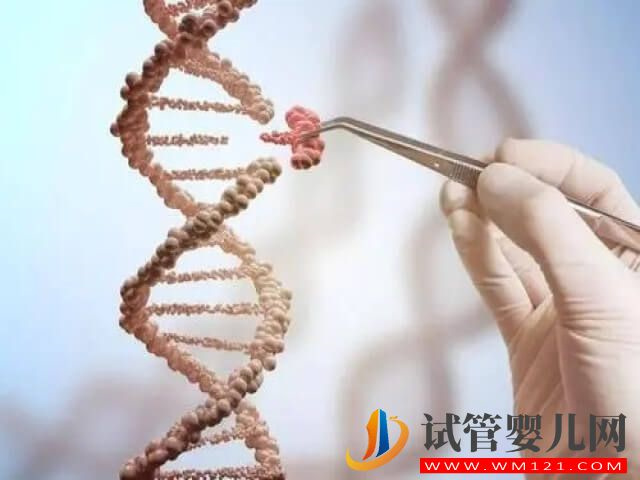 姐妹們試管前期檢查時醫生為啥沒給我查染色體？(圖1)