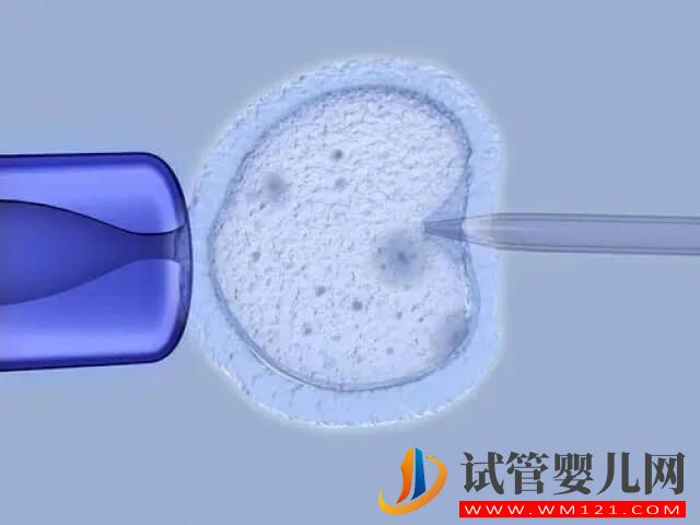 試管促排后取卵泡數(shù)量越多手術費用就越高嗎？(圖1)