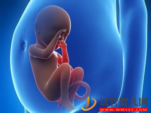 不孕不育患者利用試管嬰兒技術(shù)助孕懷的都是雙胎嗎？(圖1)