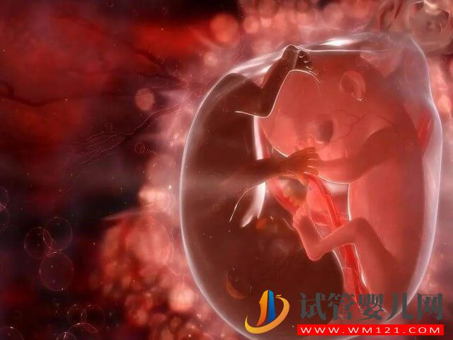 姐妹們試管移植胚胎時在什么情況下可以要雙胞胎？(圖1)