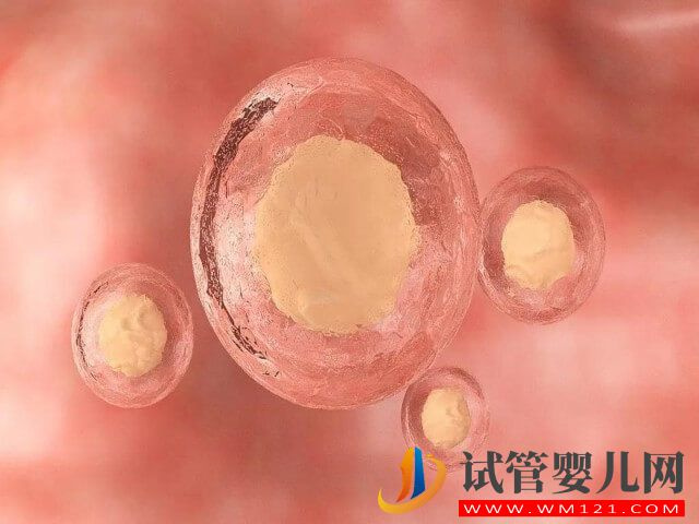 試管促排前B超顯示只有9個(gè)基礎(chǔ)卵泡最終能取幾個(gè)？(圖2)