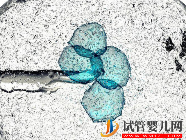 試管攢胚胎和移植先后順序盤點，看完其中緣由就知怎么選擇(圖1)