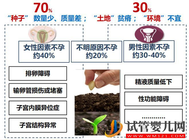 試管嬰兒技術(shù)走到了哪一步？(圖4)