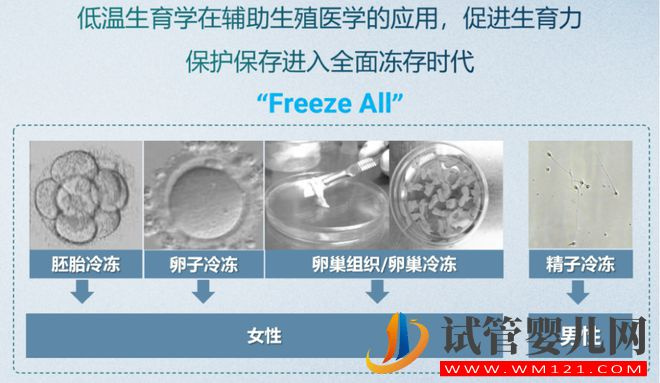 試管嬰兒技術(shù)走到了哪一步？(圖8)