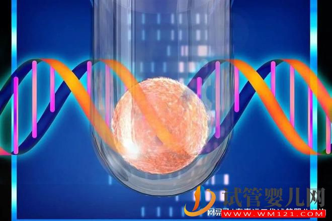 第三代試管嬰兒技術(shù)核心“PGT”(圖4)