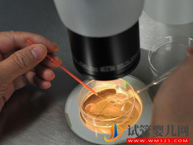 國內(nèi)正規(guī)醫(yī)院第三方供卵試管全流程，簡(jiǎn)單五步驟只需25天(圖4)